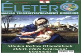 Eletero Magazin 2012 12