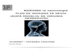 31248400 TOTEANU CRISTINA Plan de Nursing Neurologie PLAN de INGRIJIRE Cristinatoteanu Blogspot Com