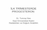 İlk Trimesterda Progesteron