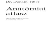Dr. Donáth Tibor - Anatómia atlasz