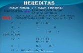 HEREDITAS [Autosaved]