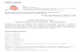 Apostila Informática TRT-RJ 2012 + 200 questões de provas anteriores