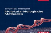 UTB 8449: Thomas Reinard, Molekularbiologische Methoden - Leseprobe