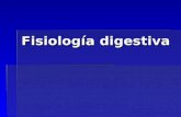 FisiologíA Digestiva