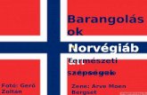 Barangolások norvégiában a fjordok világa