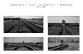 Exposition photo "Devoir de mémoire" (Auschwitz) - Charlène Gilouppe
