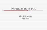 Introduction to PEG