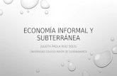 Economía informal y subterránea