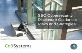 SEC Cybersecurity Disclosure Guidelines