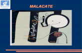 Presentacion Museo Malacate