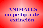 Animales en extincion