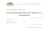 Cromatografía de gases y líquidos