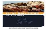 peru' - Guia fauna de Las islas Ballestas