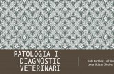 Patologia i diagnòstic veterinari final