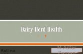 Dairy herd health