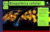 1EM #18 Bioquímica celular