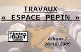 TRAVAUX ESPACE PEPIN 01