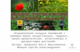 Бизнес-проект "Медико-экологический фитодизайн (МЭФ)"