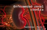 Enfermedad renal crónica seminario