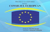 Stavila sergiu - european consilium
