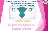 Patología de Ovario