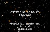 Astrobiologia en Atacama