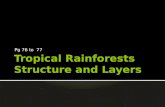 Tropical rainforests structure and adaptation