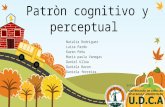 Patròn cognitivo y perceptual