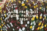 Lale Festivali,Tulip Festival 2014