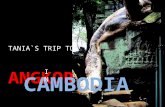 ANGKOR IN CAMBODIA