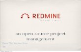 Redmine - a project management system