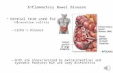 Inflammation spring 2013 narrated(1)