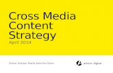 Cross Media Content Strategy - Spring 2014