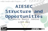 6   aiesec structure and opp. 2013