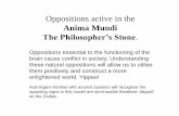 Oppositions on the anima mundi