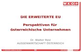 2006. Walter Resl. Die erweiterte EU-Perspektiven für österreichische Unternehmen. CEE-Wirtschaftsforum 2006. Forum Velden.