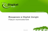 Digital Jungle - Данные о цифровой маркетинговой компании