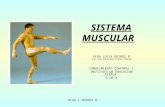 Modulo 4 sistema muscular(1)