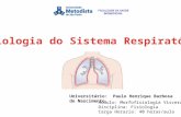 Sistema respiratório- fisiologia