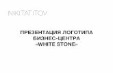 White Stone Logotype Presentation