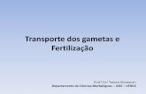 Transp Fertil