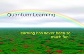 Lec 1 Quantum Learning 2009