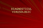 DIAGNOSTICUL VIRUSOLOGIC