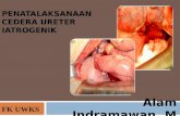 Penatalaksanaan Cedera Ureter Iatrogenik