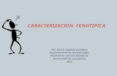 3.-taxonomia magister 2012.ppt