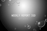 Weekly Report IGD 1