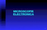 LP 5- Microscopie electronica.ppt