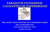 Cprm 2008. Parasitos Patogenos