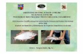 Avances nutricion alimentacion especies amazonicas acuicolas Ing. Vergara.pdf