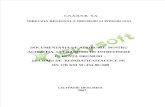 Documentatie Reparatii Asfaltice DN 17B
